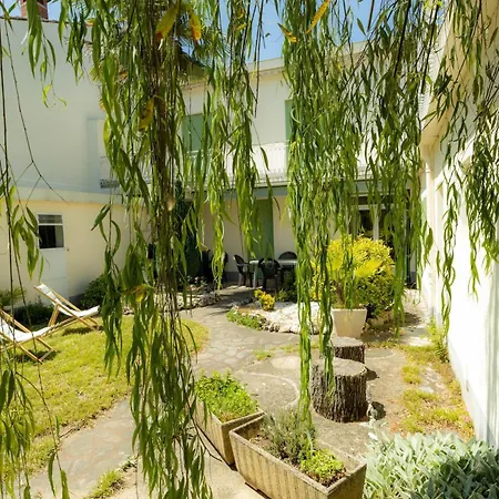 Feriehus Maison Avec Jardin - Proche Centre-ville Albi